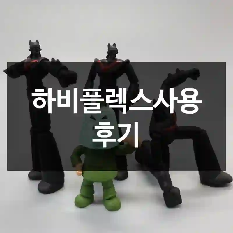 하비플렉스사용 후기