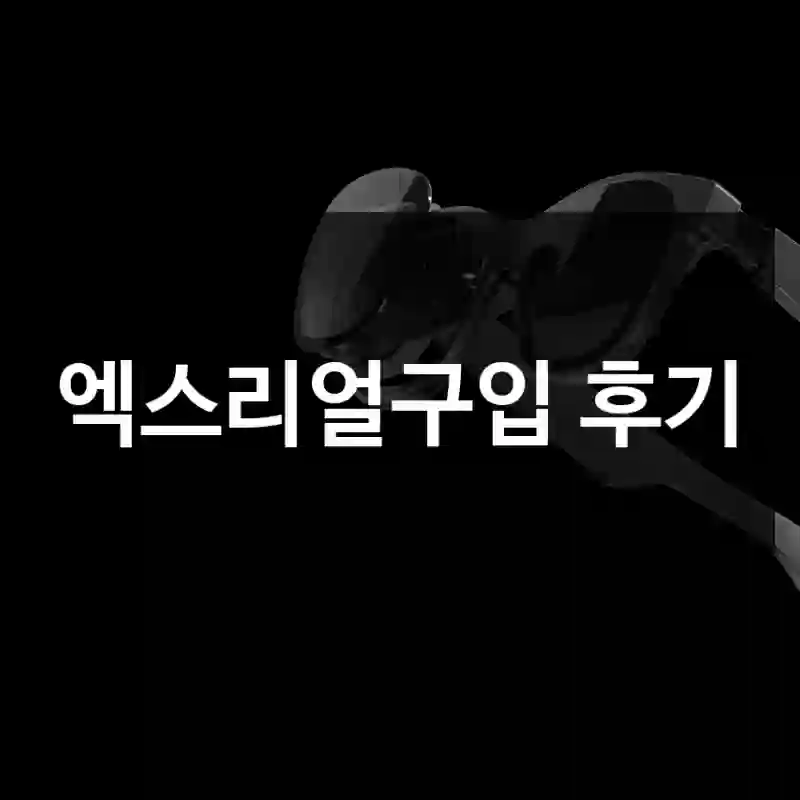 엑스리얼구입 후기