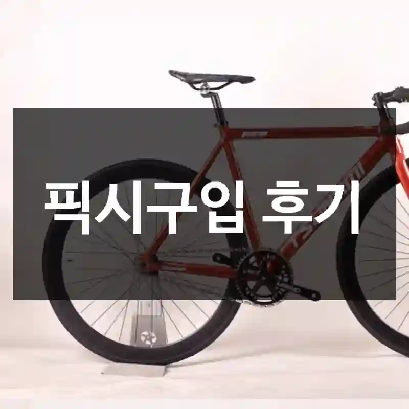 픽시구입 후기