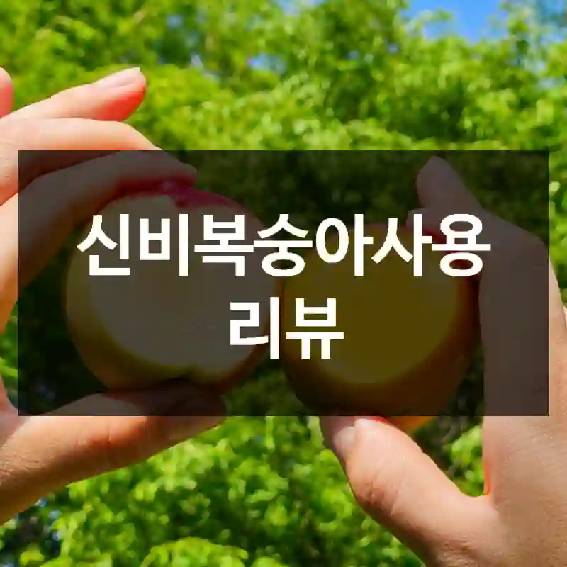 신비복숭아사용 리뷰