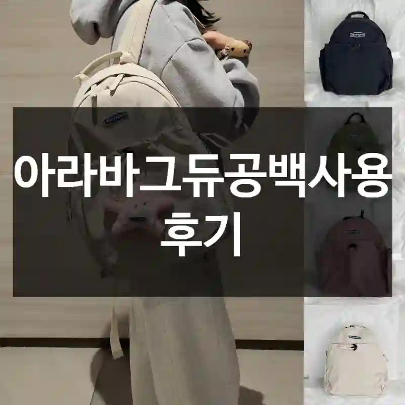 아라바그듀공백사용 후기