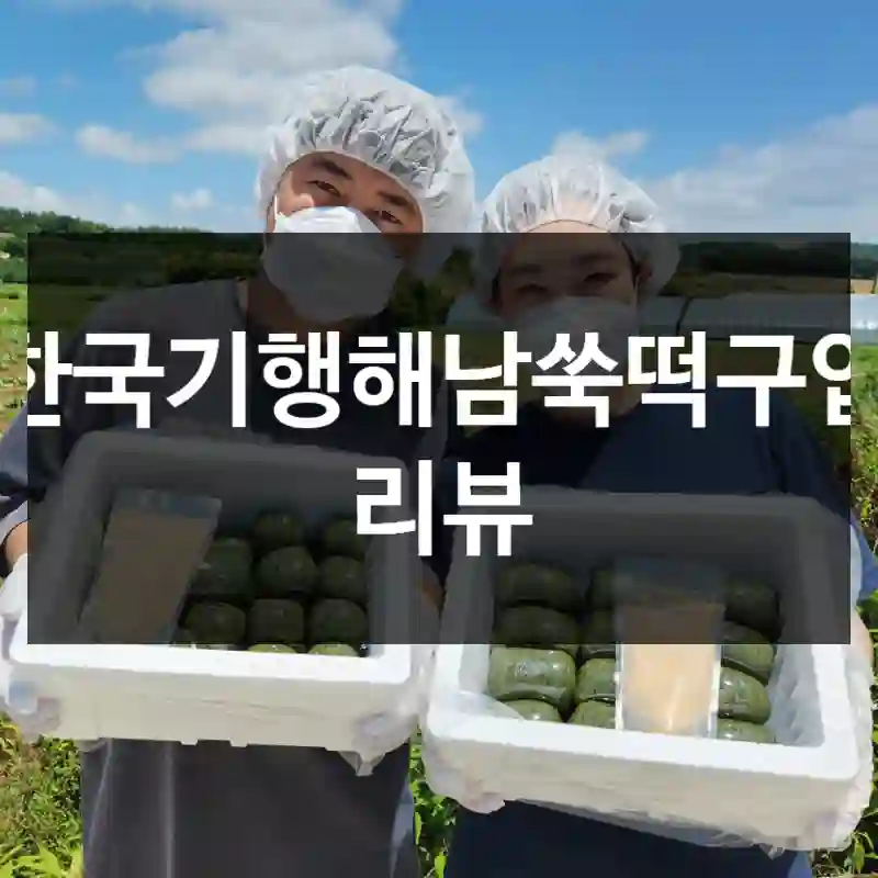 한국기행해남쑥떡구입 리뷰