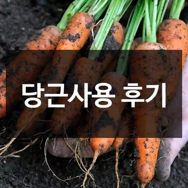 당근사용 후기
