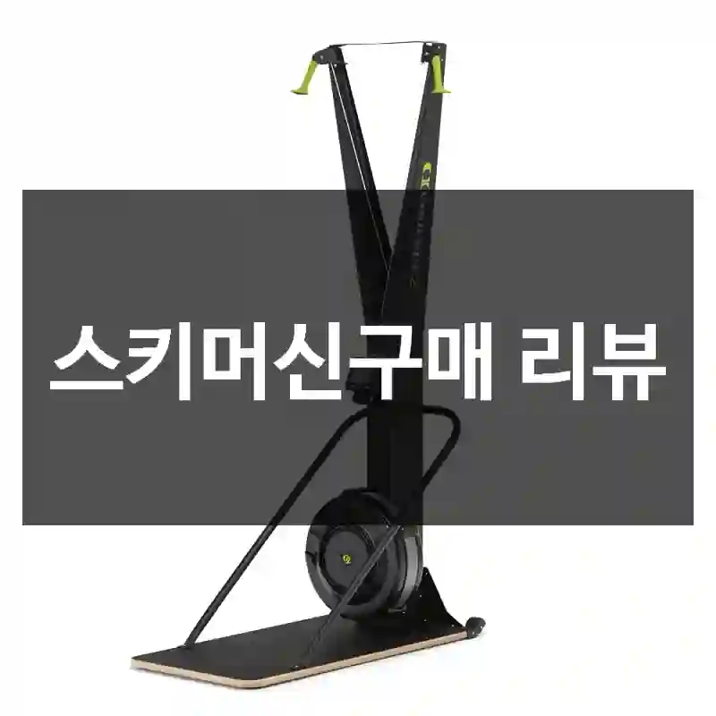스키머신구매 리뷰