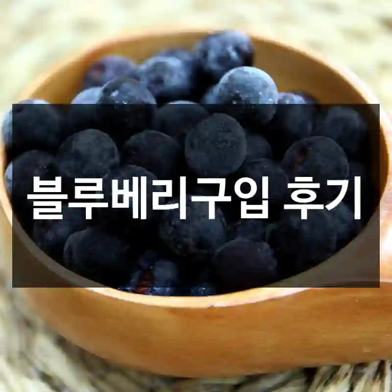 블루베리구입 후기