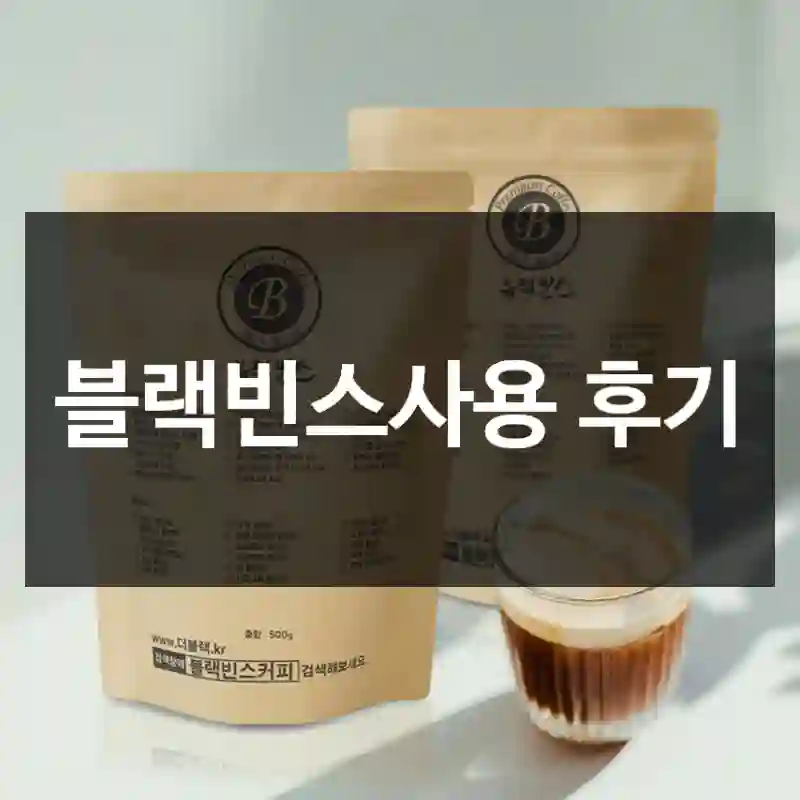 블랙빈스사용 후기