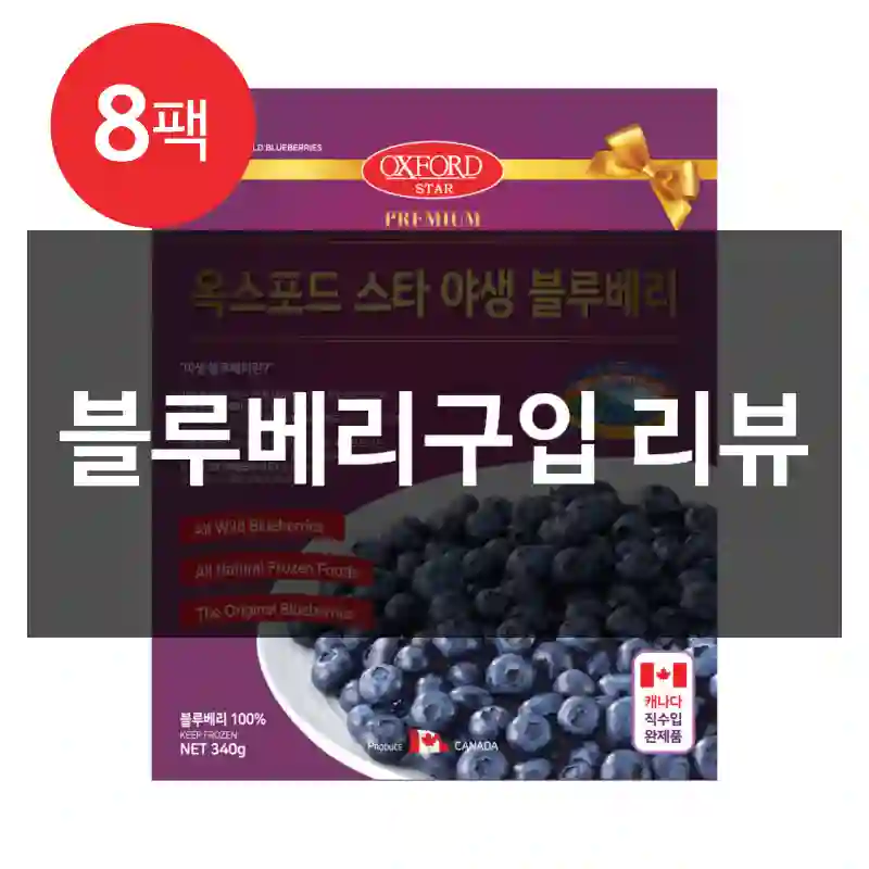 블루베리구입 리뷰