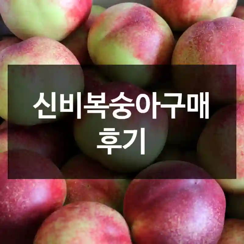 신비복숭아구매 후기