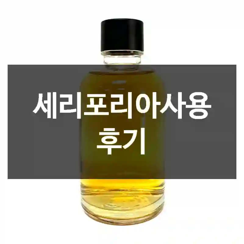 세리포리아사용 후기