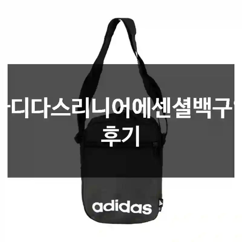 아디다스리니어에센셜백구입 후기