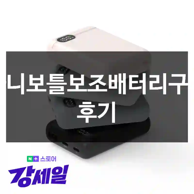 빠니보틀보조배터리구매 후기