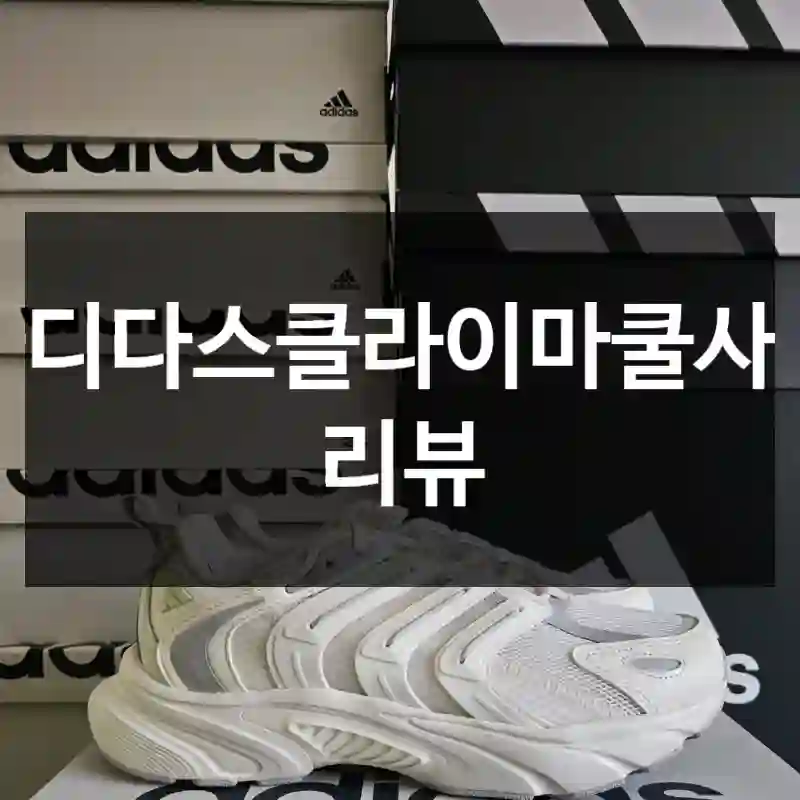 아디다스클라이마쿨사용 리뷰