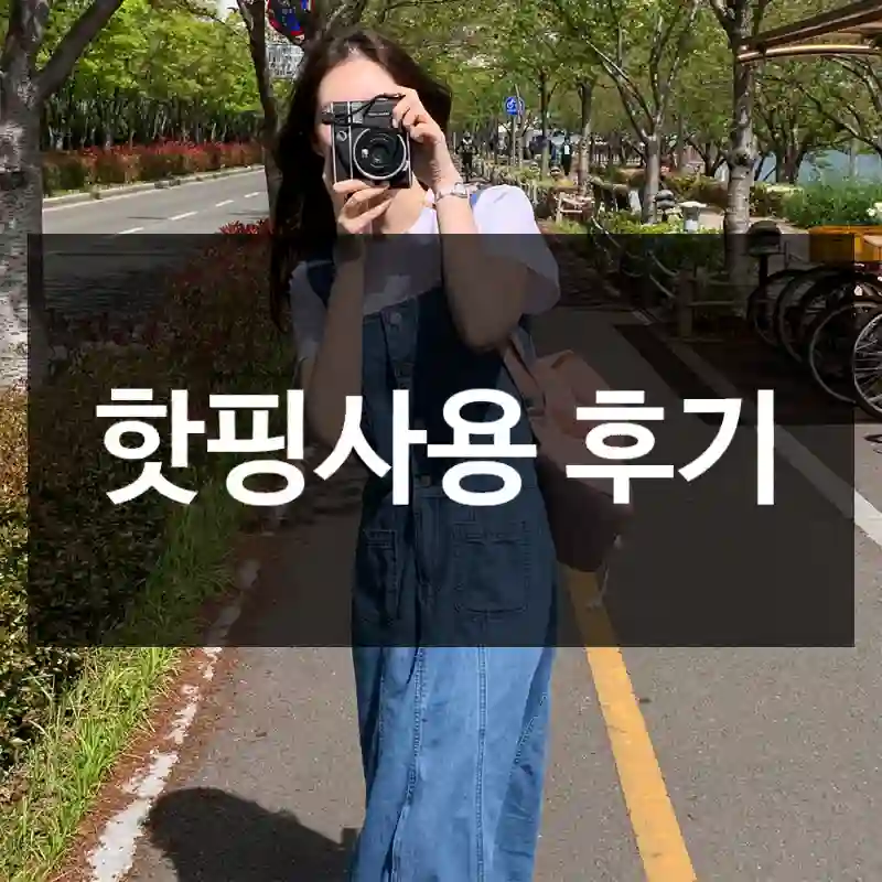 핫핑사용 후기