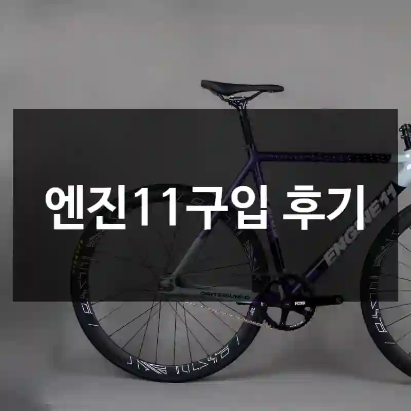 엔진11구입 후기