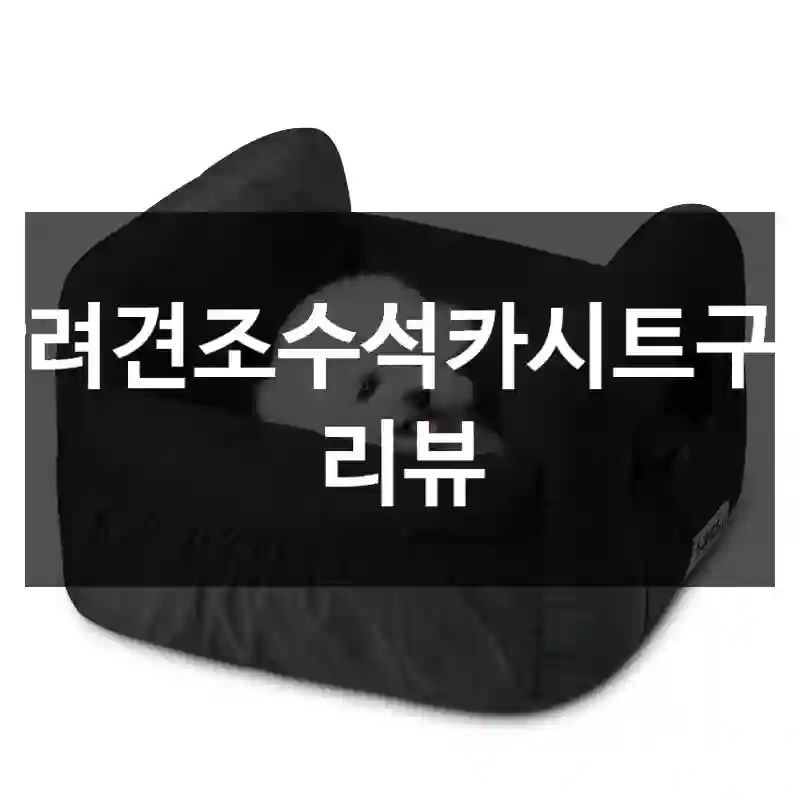 반려견조수석카시트구매 리뷰