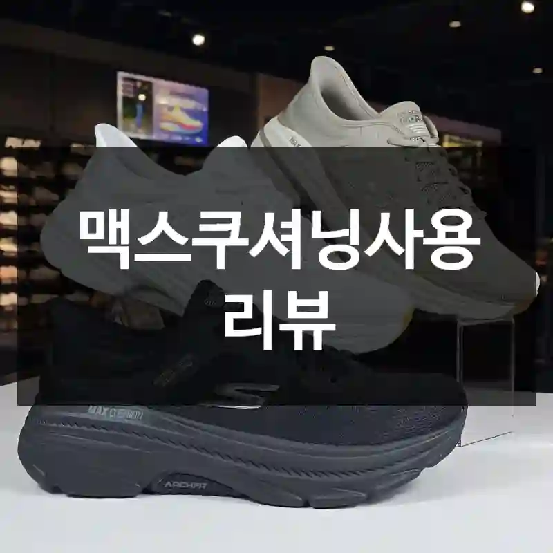 맥스쿠셔닝사용 리뷰