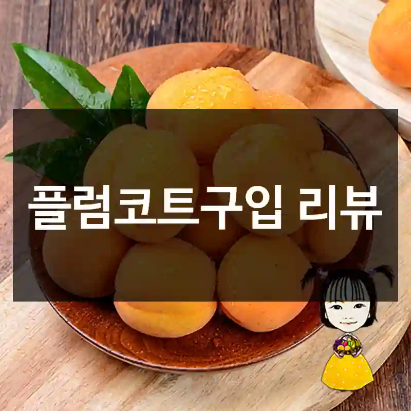 플럼코트구입 리뷰