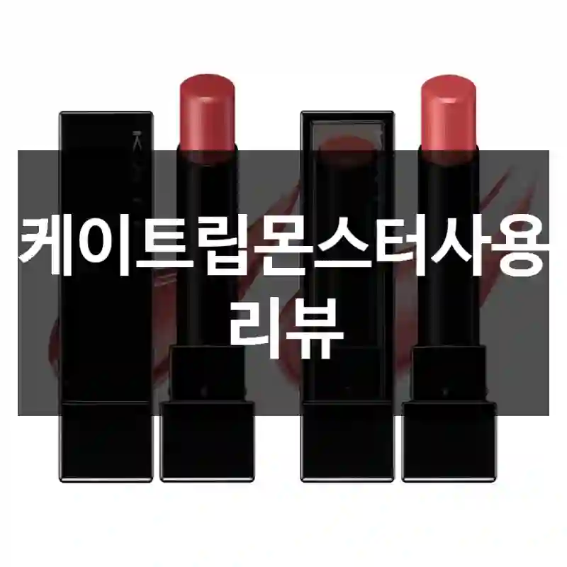 케이트립몬스터사용 리뷰