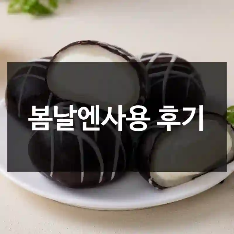 봄날엔사용 후기