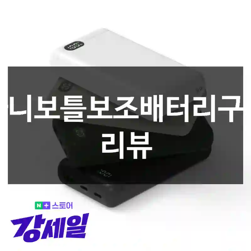 빠니보틀보조배터리구매 리뷰