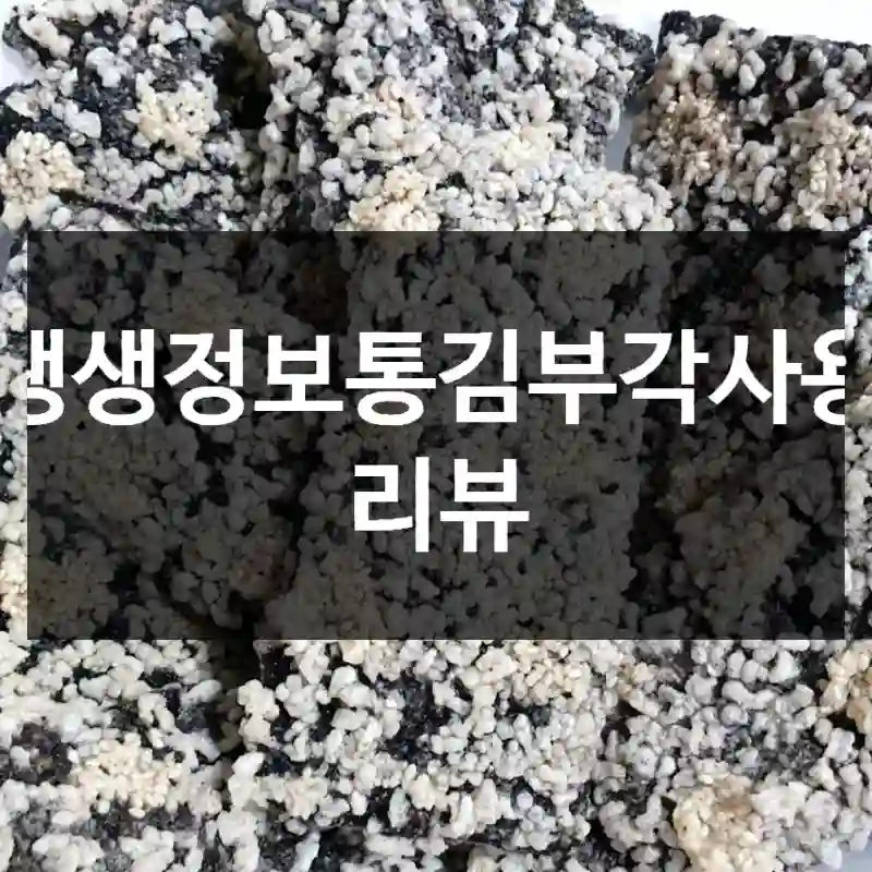생생정보통김부각사용 리뷰