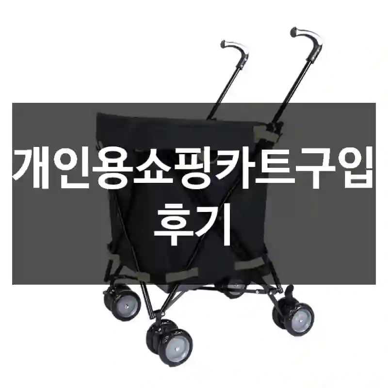 개인용쇼핑카트구입 후기