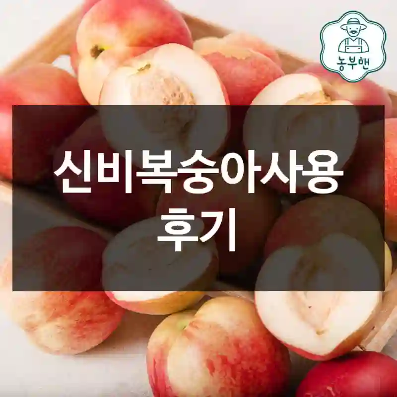신비복숭아사용 후기