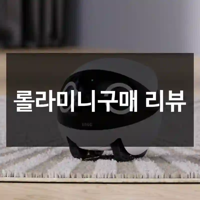 롤라미니구매 리뷰