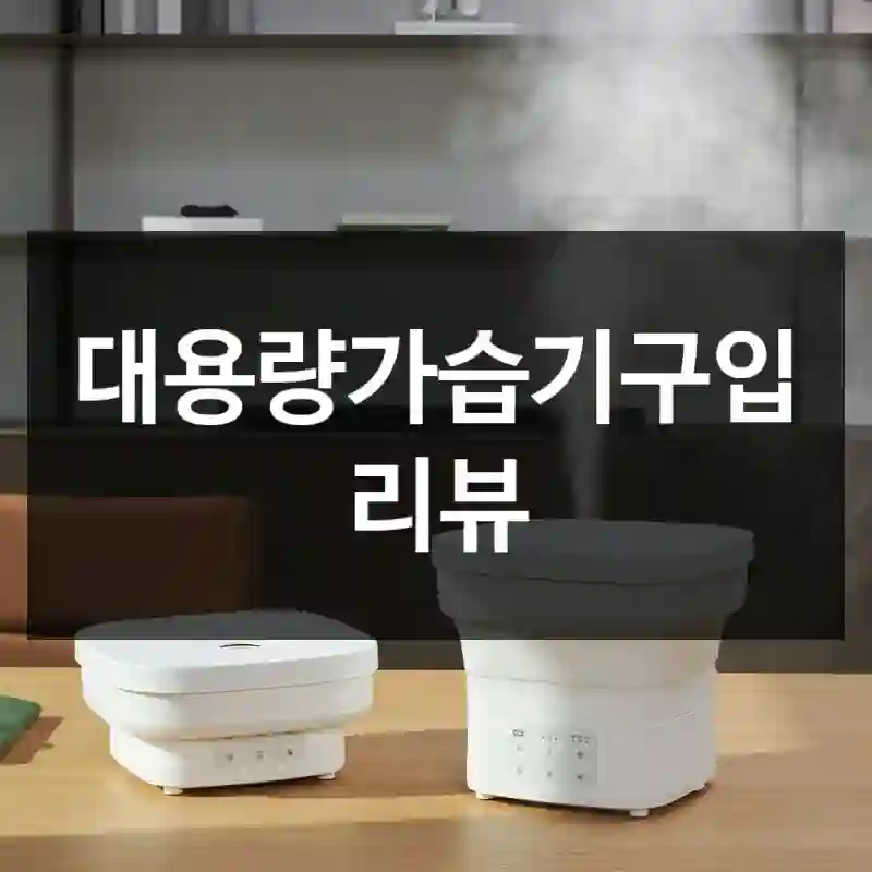 대용량가습기구입 리뷰