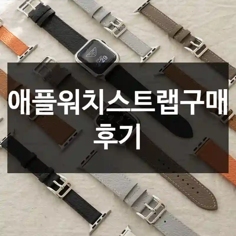 애플워치스트랩구매 후기