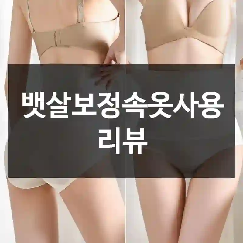 뱃살보정속옷사용 리뷰