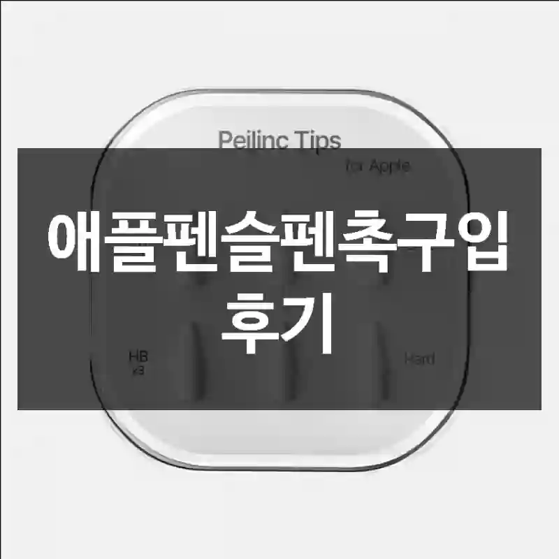 애플펜슬펜촉구입 후기