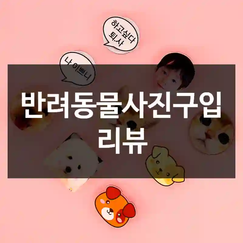 반려동물사진구입 리뷰