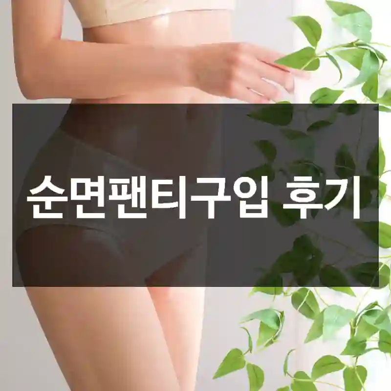 순면팬티구입 후기