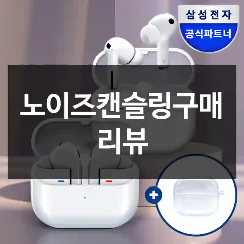 노이즈캔슬링구매 리뷰