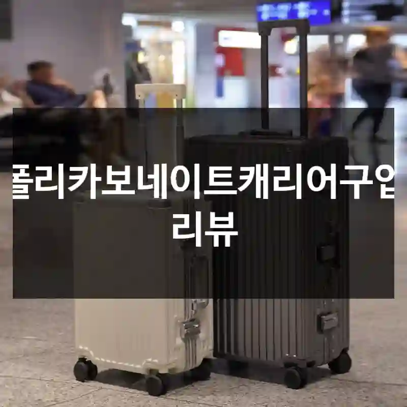 폴리카보네이트캐리어구입 리뷰