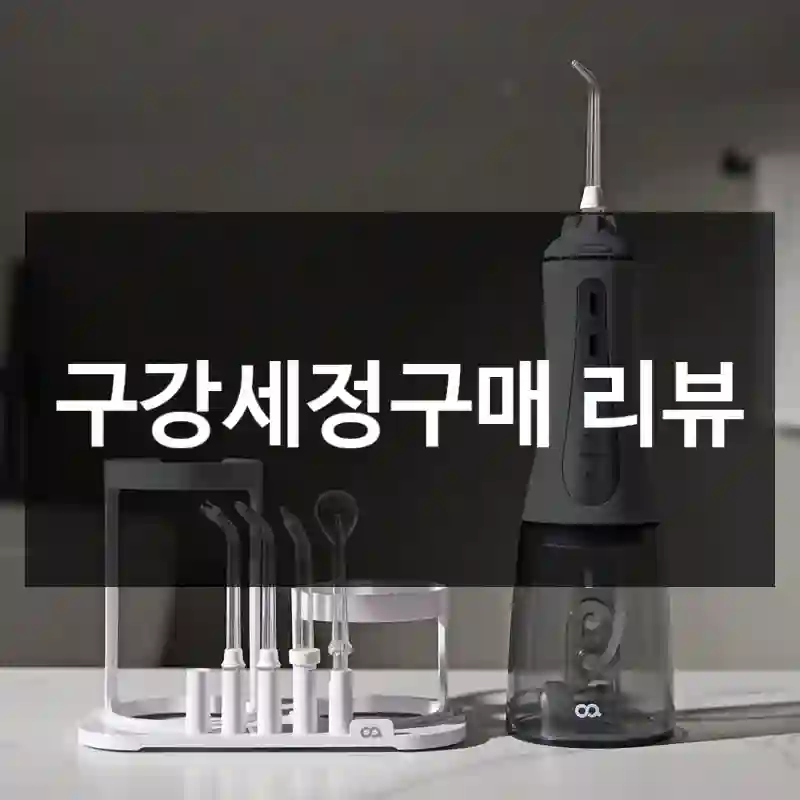 구강세정구매 리뷰