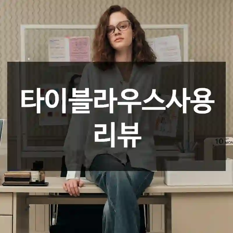 타이블라우스사용 리뷰