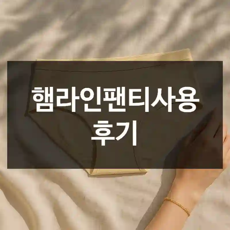 햄라인팬티사용 후기