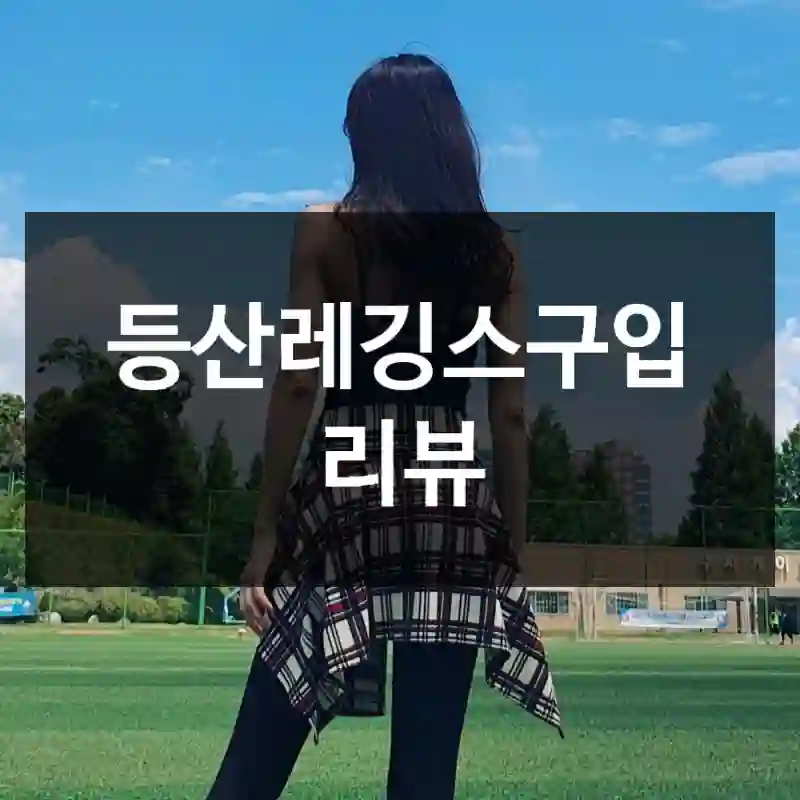 등산레깅스구입 리뷰