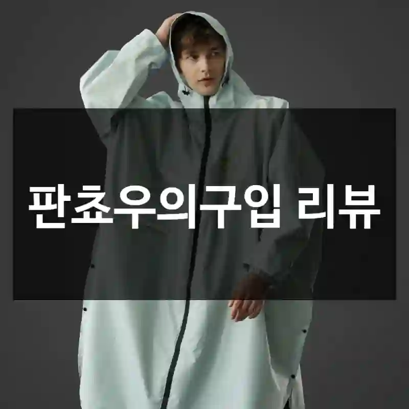 판쵸우의구입 리뷰