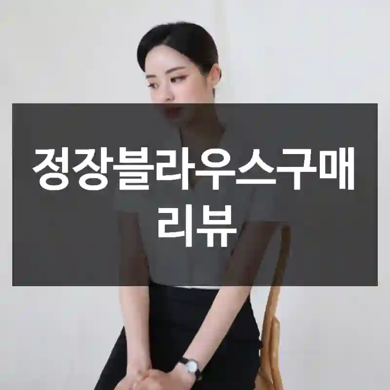 정장블라우스구매 리뷰