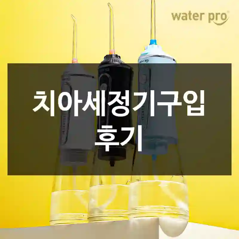 치아세정기구입 후기