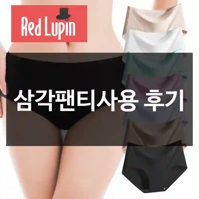 삼각팬티사용 후기