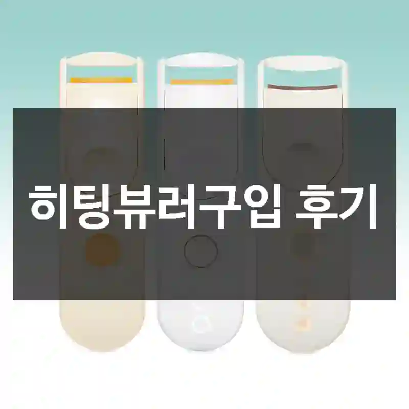 히팅뷰러구입 후기