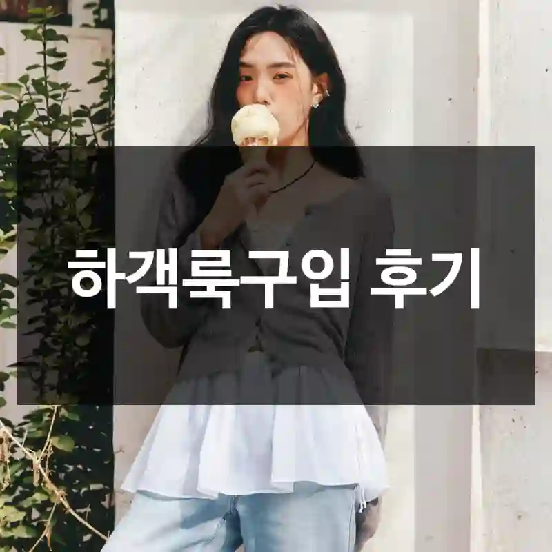 하객룩구입 후기