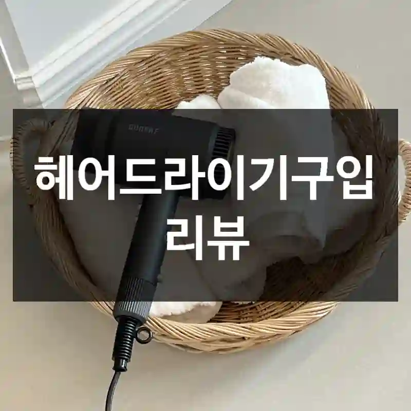 헤어드라이기구입 리뷰