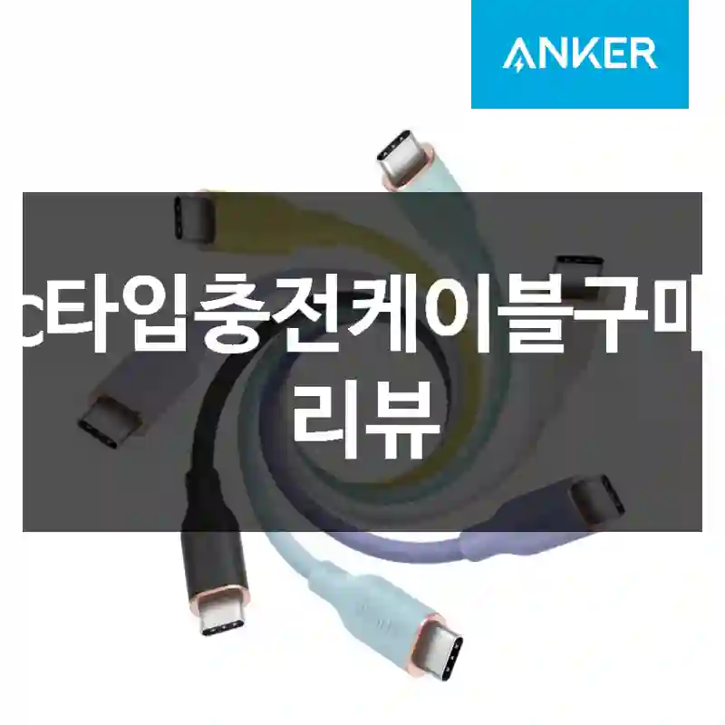 c타입충전케이블구매 리뷰