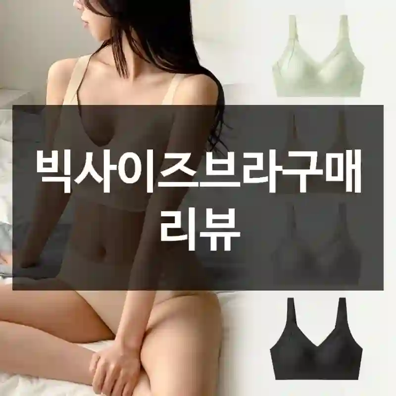 빅사이즈브라구매 리뷰