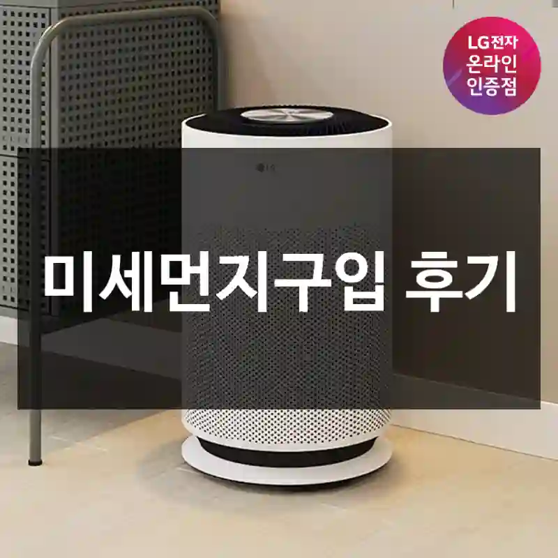 미세먼지구입 후기